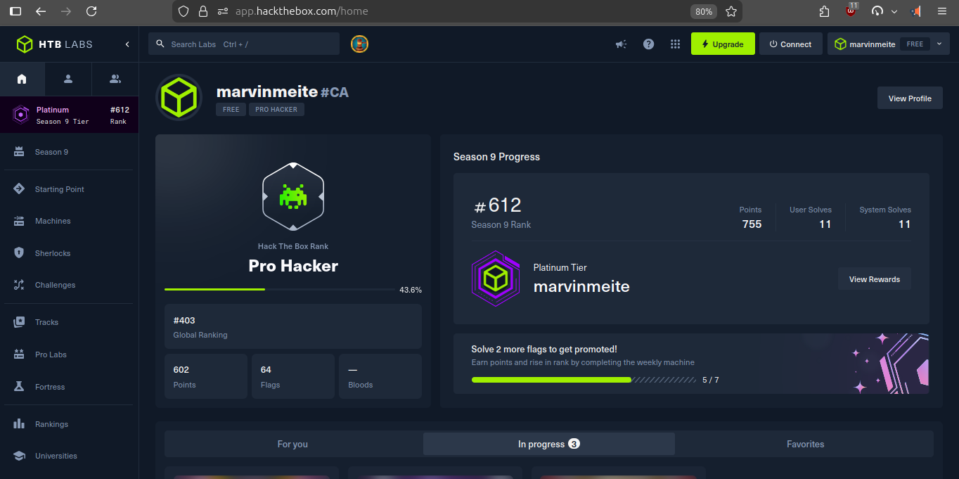 HackTheBox Pro Hacker global rank